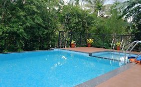 Golden Cypress Resort With Pool -Wayanad